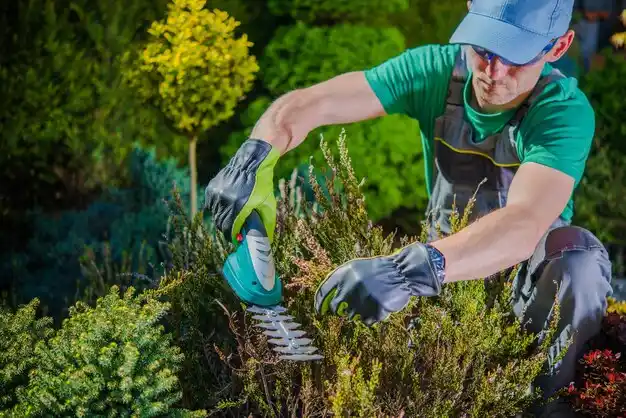 landscaping services Lake Arrowhead